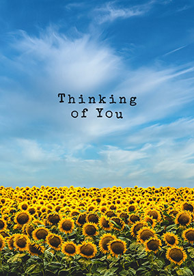 Thinking Of You Sunflowers Card