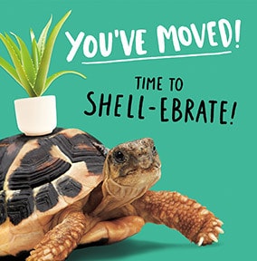 Time to Shell-Ebrate New Home Card
