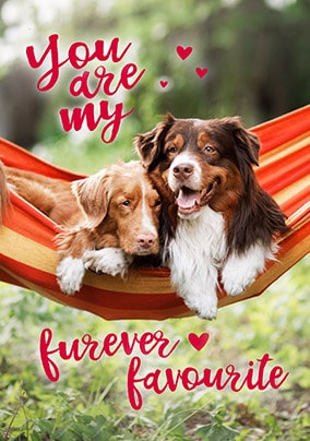Furever Favourite Valentine's Day Card