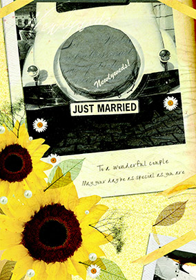 Wedding Day Congratulations - Just Married