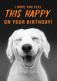 Tap to view Hope You Feel This Happy On Your Birthday Card