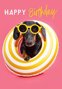 Tap to view Pool Day Dachshund Birthday Card