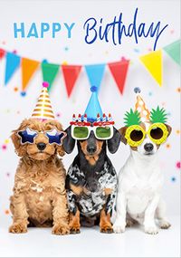 Tap to view Fancy Dress Dogs Birthday Card