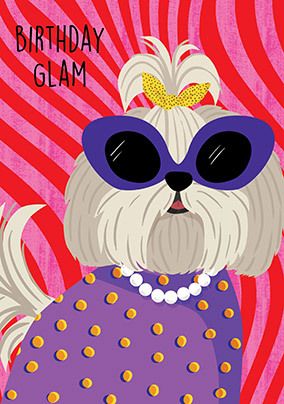 Photo of Sassy Paws Shih Tzu Birthday Card