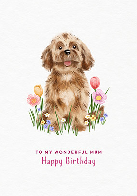 card image