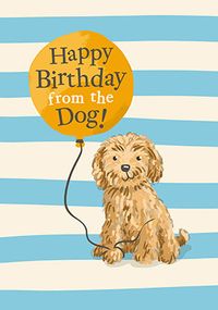 Tap to view From The Dog Balloon Birthday Card