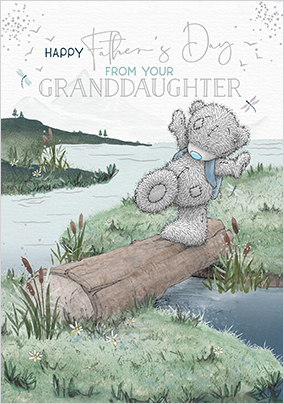 Me To You From Granddaughter Father's Day Card
