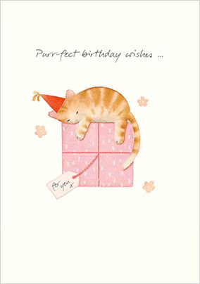 Photo of Purrfect Birthday Wishes Card