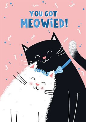 Photo of You Got Meowied Wedding Card