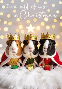 Tap to view Three Wise Guinea Pigs Christmas Card