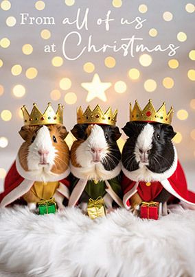 Photo of Three Wise Guinea Pigs Christmas Card
