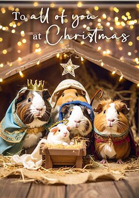 Photo of Guinea Pig Nativity Christmas Card