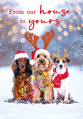 card image