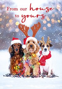 Tap to view Festive Dogs Christmas Card