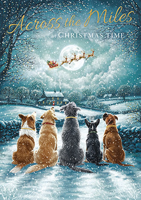 Across The Miles Winter Dogs Christmas Card