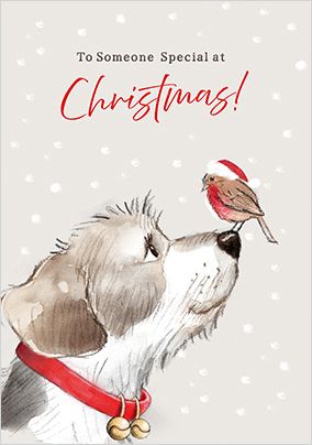 Photo of Someone Special Dog & Robin Christmas Card