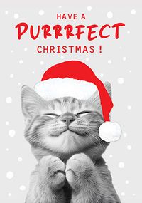 Tap to view Have A Purrfect Christmas Card