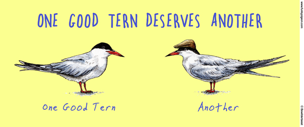 One Good Tern Deserves Another Anniversary Mug