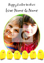 Little Chicks - Portrait