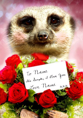 Meerkat - Love Flowers