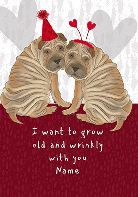 Old and Wrinkly Personalised Valentine's Day Card