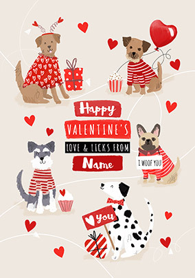 Happy shop valentines dog