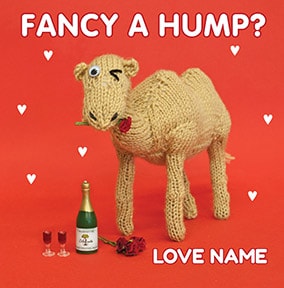 Knit & Purl - Fancy a Hump
