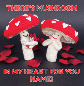 Knit & Purl - Mushroom in my Heart