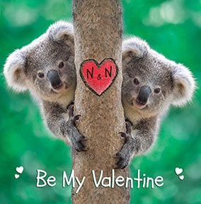 Be My Valentine? Koala Personalised Card