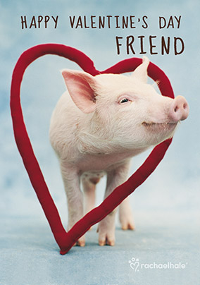 Friend Valentine's Day Card Piggy - Rachael Hale