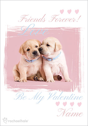 Friend Valentine's Day Card Labrador Puppies - Rachael Hale