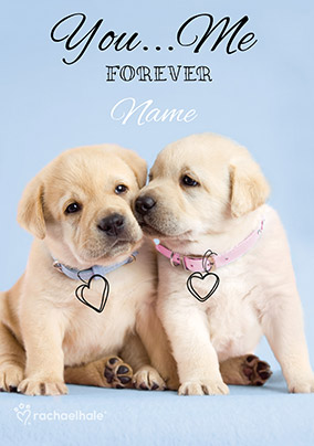 Labrador Puppies Valentine's Day Card You & Me - Rachael Hale