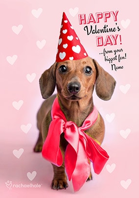 Dachshund Biggest Fan Personalised Valentine's Card