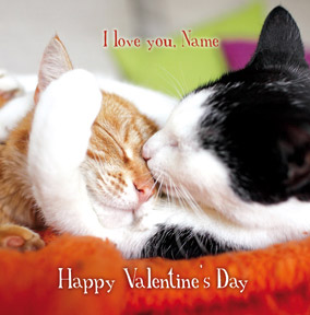 Woodmansterne.V - Cat Valentines Card