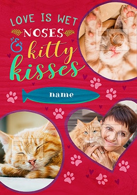 Love Is Wet Noses & Kitty Kisses Photo Card