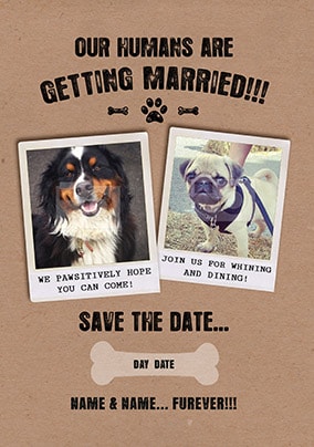 Our Humans Are Getting Married! Save The Date Card