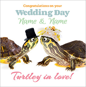 Paper Rose - Wedding Card Turtley in Love!