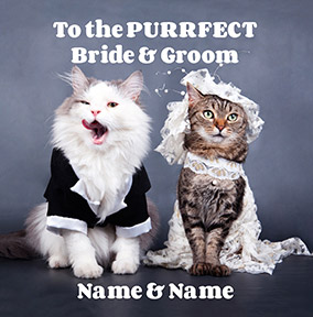 Paper Rose - Wedding Card Purrfect Bride & Groom