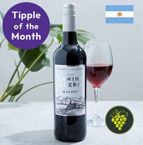 Camino Acero Malbec Red Wine WAS £14 NOW £12