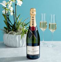 Moët & Chandon Brut Imperial Champagne