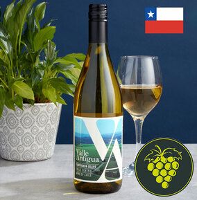 Valle Antigua Sauvignon Blanc White Wine