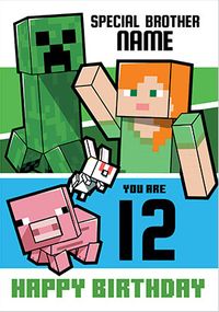 Tap to view Minecraft Special Brother 12th Birthday Personalised Card