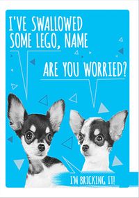 Bricking it personalised Dog Birthday Card