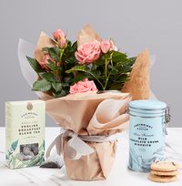 Afternoon Tea Rose Gift Set