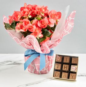 Happy Birthday Begonia and Chocolate Gift Set