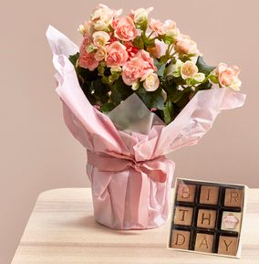 Happy Birthday Begonia and Chocolate Gift Set