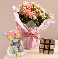 Tap to view Birthday Begonia, Bear and Chocolate Gift Set