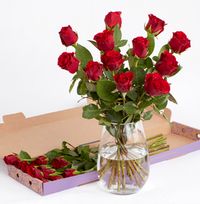 Tap to view Dozen Red Rose Letterbox