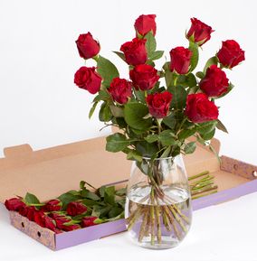 Dozen Red Rose Letterbox
