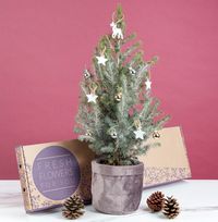 The Snowy Letterbox Christmas Tree